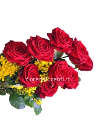 Rose rosse con mimosa