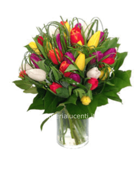 Bouquet di tulipani colori risa e fucsia disponibili